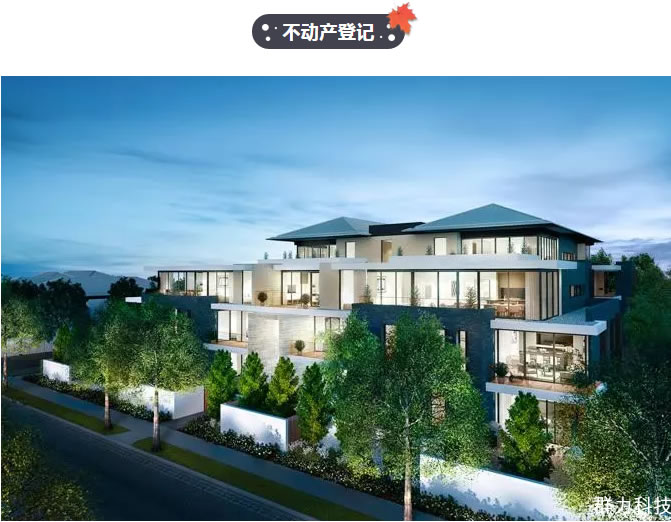 1550824292894544.jpg 5.jpg