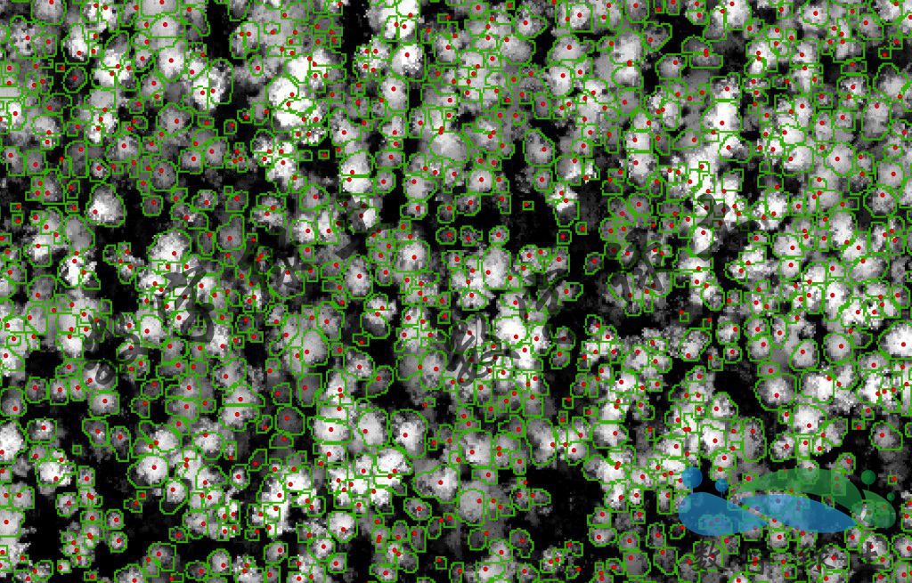 1631944952360563.jpg 09.jpg