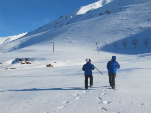 1641431463567331.jpg 000.jpg