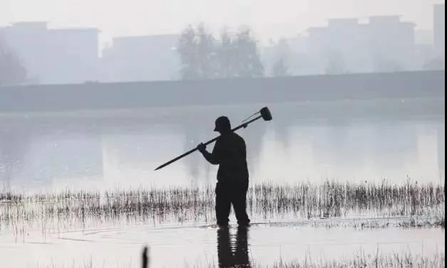 1641431814140455.jpg 1641431814140455.jpg