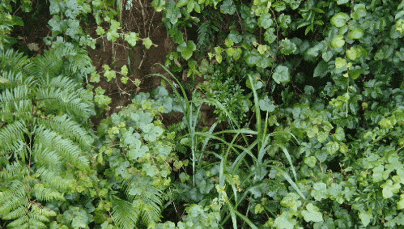 1682324067130205.png 图片6.png